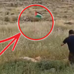 Израелски војник шутна палестинско знаме, па активираше експлозив (ВИДЕО)