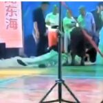 Кинеска пејачка почина откако се сопна и ја удри главата на бината