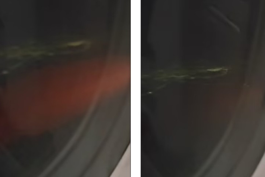 N3fYY-screenshot-9