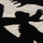Очувот му го скршил черепот на 10-годишно дете, а на помалото братче забите, заедно со мајката ги исфрлил во Аеродром