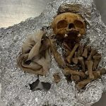 Патник носел човечки останки во багажот- цариниците не можеле да поверуваат за што му служеле коските